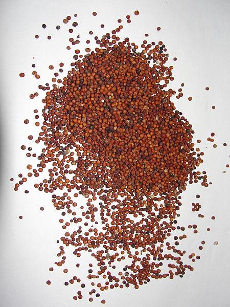Unbelievable Ragi Benefits for Skin