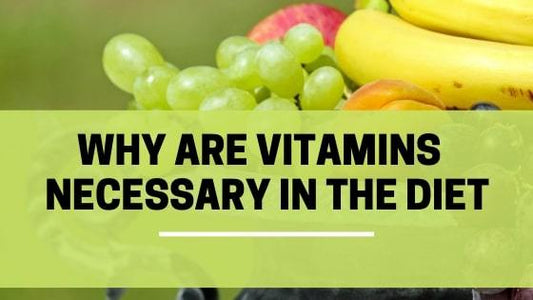 why are vitamins necessary in diet