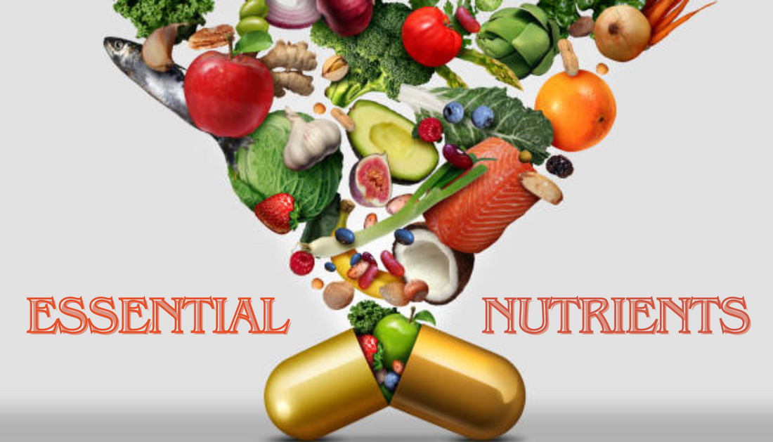 top 10 Essential Nutrients Your Body Wants